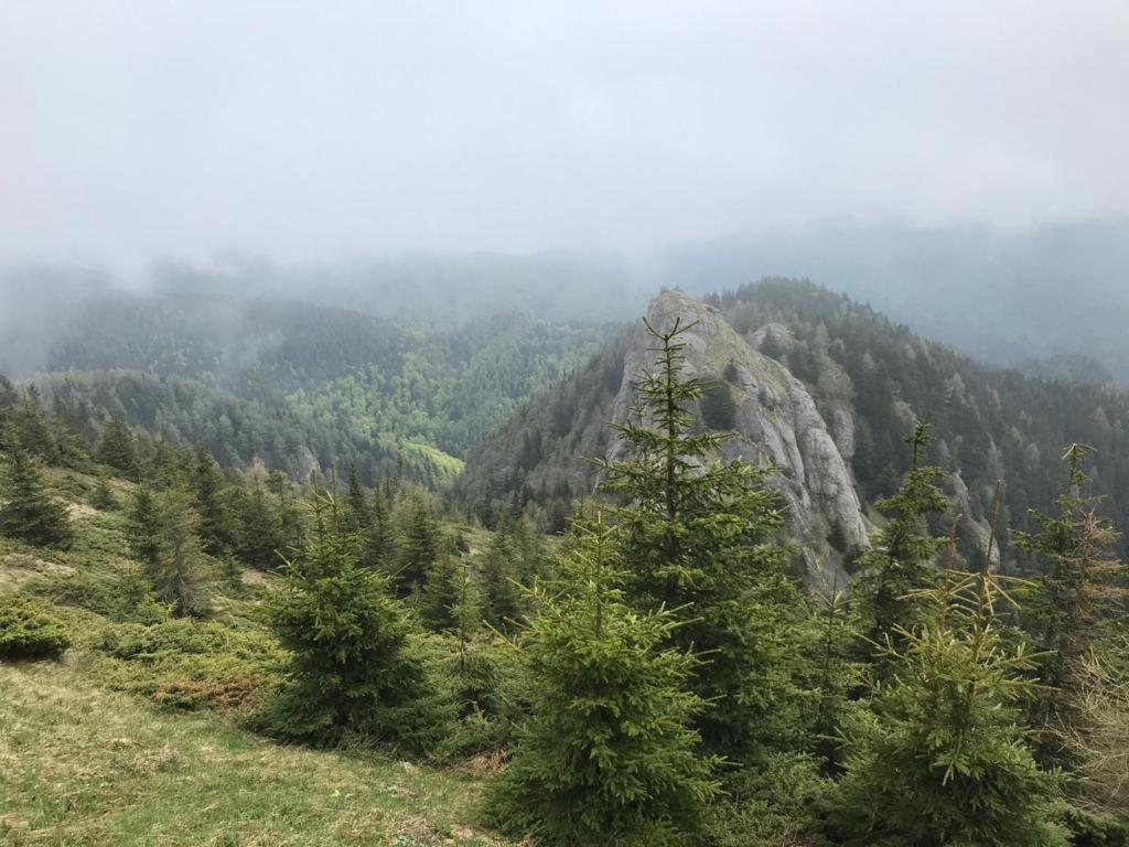 Apartament Ovo Sinaia Kültér fotó