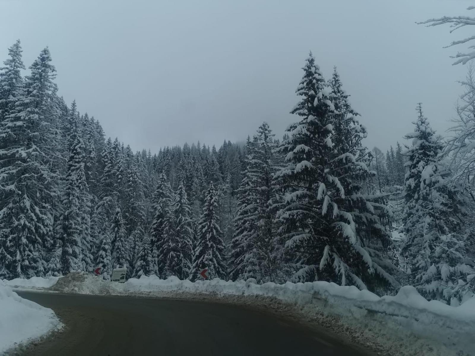 Apartament Ovo Sinaia Kültér fotó