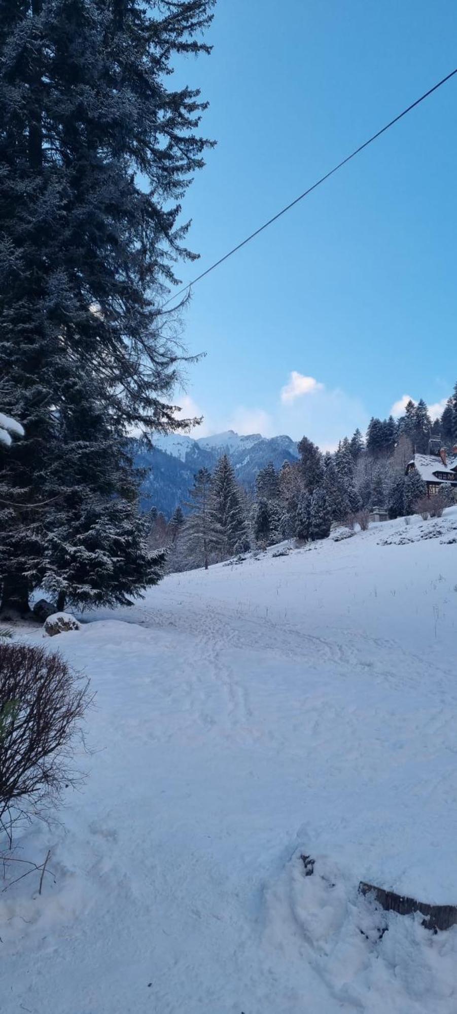 Apartament Ovo Sinaia Kültér fotó