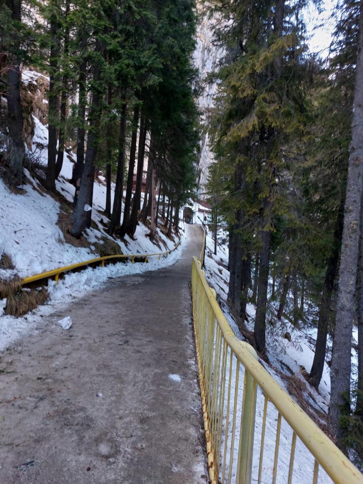 Apartament Ovo Sinaia Kültér fotó