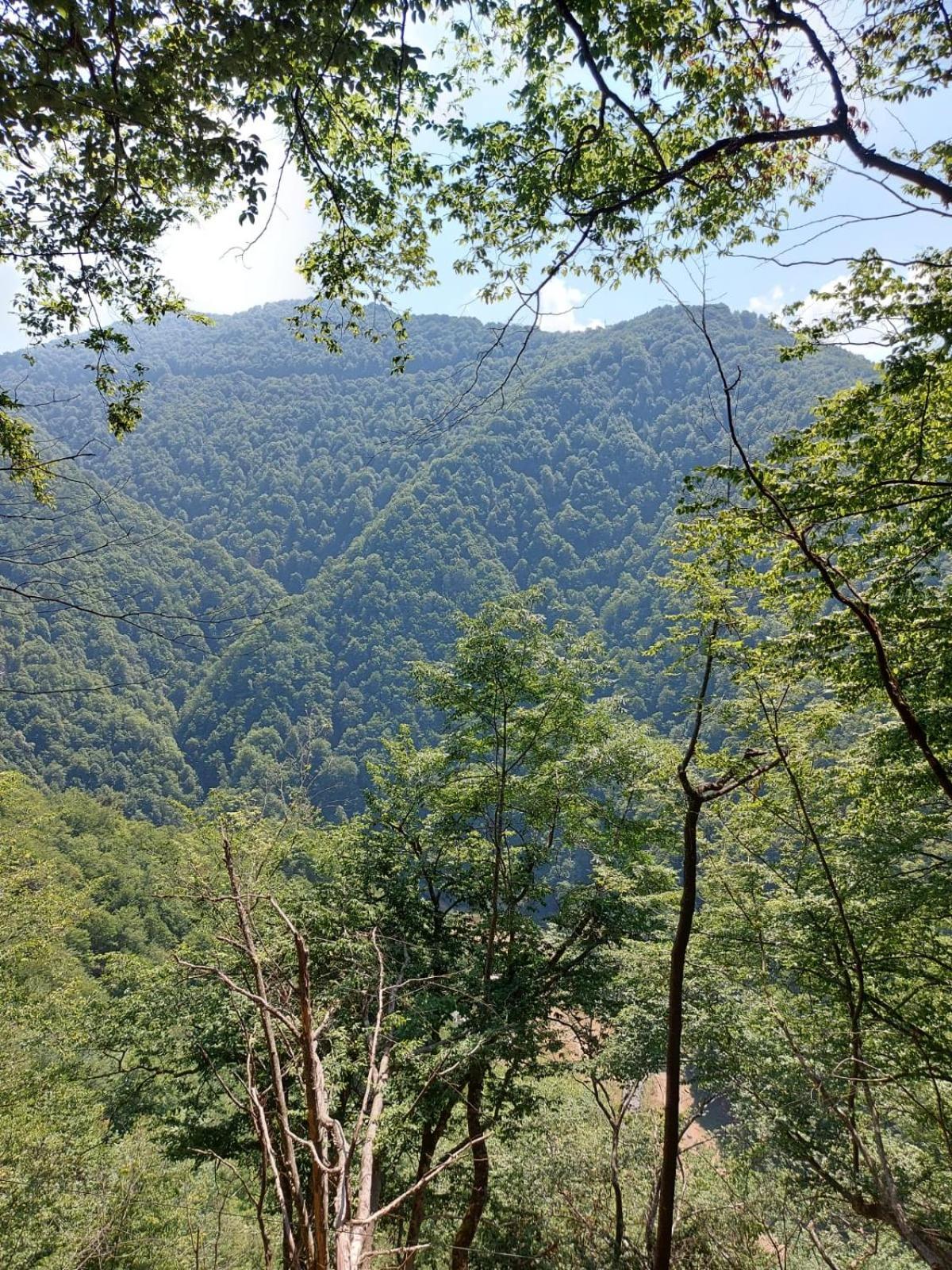 Apartament Ovo Sinaia Kültér fotó
